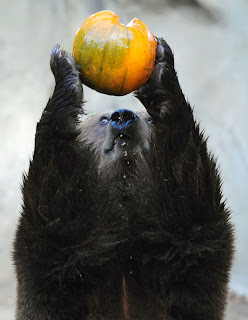 Come festeggerete Halloween (Ogni Santi)?