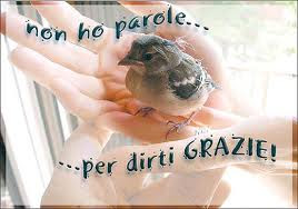 Non ho parole per dirti grazie!